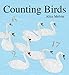 Counting Birds
