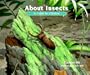 About Insects:  A Guide for Children