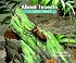 About Insects:  A Guide for Children