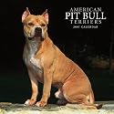 American Pit Bull Terriers 2007 Calendar