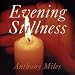 Evening Stillness