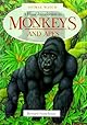 A Visual Introduction to Monkeys (Animal Watch S.)