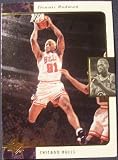 1995-96 SP 22 Dennis Rodman (Basketball Cards)