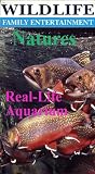 Wildlife: Natures Real Life Aquarium (w/o narration)