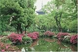 1000ピース 新緑の東寺 1000-327
