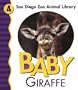 Baby Giraffe (San Diego Zoo Animal Library)
