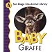 Baby Giraffe (San Diego Zoo Animal Library)