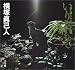 いりおもて―森と海と人と山猫 (週刊日本の天然記念物PICTORIAL BOOK)