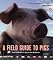 A Field Guide to Pigs