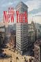 New York: Not Only Buildings (Architecture Tools)