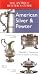 Antique Hunter's Guide to American Silver & Pewter Image