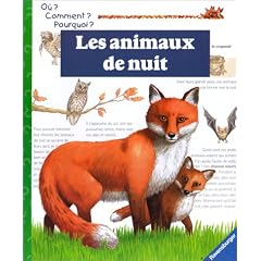 Les animaux de nuit