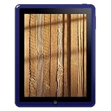 Amzer Soft Gel TPU Skin case for Apple iPad Tablet,(Blue)