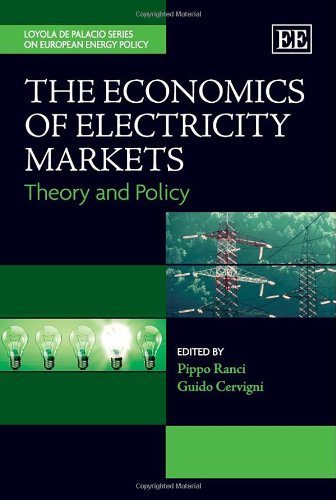 the economics of electricity markets theory and policy the loyola de palacio series on european energy policy