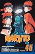 Naruto, Vol. 45: Battlefield, Konoha