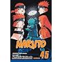 Naruto, Vol. 45 (Naruto (Graphic Novels)) (v. 45)