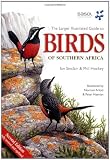 Larger Illustrated Guide to Birds of Southern Africa
