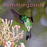 Hummingbirds 2012 Wall Calendar #51062