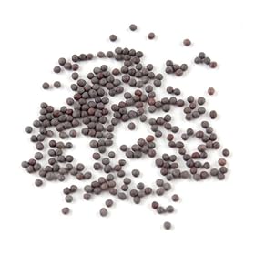 Mustard Seed, Black - 20 Oz Jar Each
