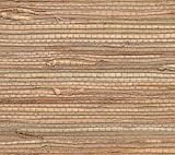 Grasscloth Slubs - Natural - AB311