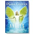 Angels of Light Cards Angels of Light Cards Cover image