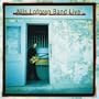 Nils Lofgren Band - Live