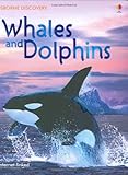 Whales and dolphins