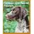German Shorthaired Pointers (Complete Pet Owner's Manual)