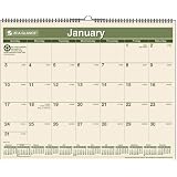 AT-A-GLANCE Recycled Wall Calendar, 15 x 12 Inches, White and Cream, 2011 (PMG77-28)