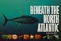 Beneath the North Atlantic