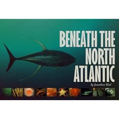 Beneath the North Atlantic