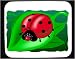 Mouse Pad with leaf, tired, ladybug