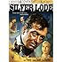 Silver Lode (Special Edition) [DVD] [1954] [US Import]