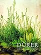 Durer and the Virgin in the Garden (National Gallery Publications)