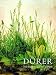 Book Durer and the Virgin in the Garden (National Gallery London Publications)