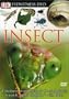 Eyewitness: Insect