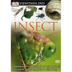 Eyewitness: Insect