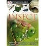 Eyewitness: Insect