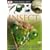 Eyewitness: Insect