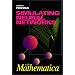 Simulating Neural Networks with Mathematica