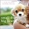 Havanese Puppy Essentials