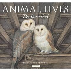 Barn Owl (Animal Lives)