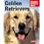 Golden Retriever (Complete Pet Owner's Manual)