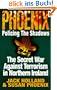 Phoenix: Policing the Shadows