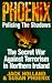 Phoenix: Policing the Shadows