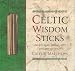 Book Celtic Wisdom Sticks: An Ogam Oracle