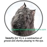 Bouvier des Flandres Beauty Adult T Shirt
