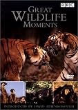 Great Wildlife Moments With David Attenborough [UK IMPORT] - David Attenborough