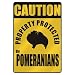 pomeranian9 - CAUTION PROPERTY PROTECTED BY POMERANIANS PARKING SIGN DOG