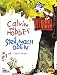 Calvin und Hobbes, Bd.6, Steil nach oben